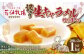 【訳あり】花畑牧場の生キャラメル 切り落とし 計約1kg 500g×2袋