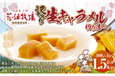 【訳あり】花畑牧場の生キャラメル 切り落とし 計約1.5kg 500g×3袋 生キャラメル キャラメル 花畑牧場 お菓子 スイーツ おやつ おかし [002-0026]