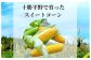 [北海道・十勝 美しい村] 早い者勝ち！！産地直送★太陽の恵みを限りなく浴びたもぎたてスイートコーン