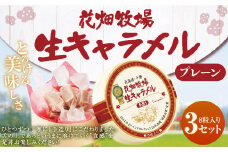 花畑牧場 生キャラメル プレーン 8粒入り×3セット キャラメル お菓子 おやつ 冷蔵 [002-0082]
