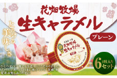 花畑牧場 生キャラメル プレーン 8粒入り×6セット キャラメル お菓子 おやつ 冷蔵 [002-0083]