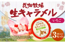 花畑牧場 生キャラメル 北海道産いちご 8粒入り×3セット キャラメル お菓子 おやつ いちご 苺 ストロベリー 冷蔵 [002-0084]