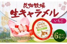 花畑牧場 生キャラメル 北海道産いちご 8粒入り×6セット キャラメル お菓子 おやつ いちご 苺 ストロベリー 冷蔵 [002-0085]