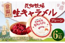 花畑牧場 生キャラメル プレーン（常温） 64g×6セット キャラメル お菓子 おやつ [002-0089]
