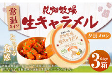 花畑牧場 生キャラメル 夕張メロン（常温） 64g×3セット キャラメル お菓子 おやつ メロン [002-0090]