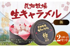 花畑牧場 生キャラメル （極 -きわみ-） 12粒入り×2セット キャラメル お菓子 おやつ マヌカハニー マヌカはちみつ 冷蔵 [002-0086]