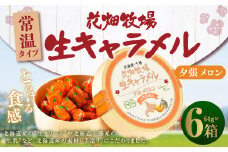 花畑牧場 生キャラメル 夕張メロン（常温） 64g×6セット キャラメル お菓子 おやつ メロン [002-0091]