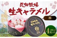 花畑牧場 生キャラメル （極 -きわみ-） 12粒入り×4セット キャラメル お菓子 おやつ マヌカハニー マヌカはちみつ 冷蔵 [002-0087]