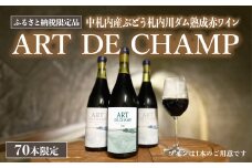 《70本数量限定》札内川ダム 熟成 赤ワイン 中札内村産 ぶどう アート・ド・シャンプ 【2026年6月上旬発送】 ワイン 赤 お酒 おさけ 酒 ギフト [006-0109]