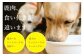 【3回定期便】ヒューマングレードペットフード エゾ鹿肉のミンチ 500g×1個（犬用おやつ）