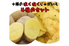 十勝・中札内村のほくほくじゃがいも 4種セット 約10kg 【2025年10月上旬より順次発送】 [J1-2C]
