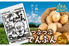 つぶつぶでんぷん5kg 片栗粉 ばれいしょ つぶつぶ片栗粉 料理 北海道十勝更別村 F21P-1109