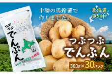 北海道十勝更別村「つぶつぶでんぷん300g」×30パック F21P-1105