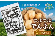 北海道十勝更別村「つぶつぶでんぷん5kg」×2パック F21P-1110