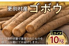 更別村産ゴボウ　10kg(L) F21P-077