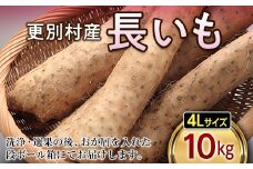 更別村産長いも　10kg F21P-079