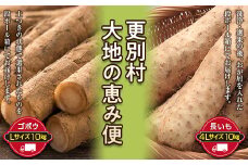 更別村大地の恵み便（ゴボウ/長いも 各10kg定期便） F21P-080
