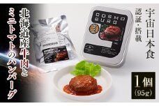 北海道十勝更別村 十勝スロウフード 宇宙日本食認証 北海道産牛肉とミニトマトのハンバーグ F21P-081