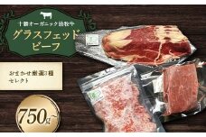 【十勝オーガニック放牧牛(グラスフェッドビーフ)おまかせ厳選3種セレクト】(750g～) F21P-1149