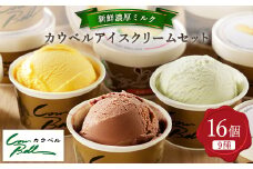 新鮮濃厚ミルク　カウベルアイスクリームセット9種16個_ アイス アイスクリーム ジェラート カップアイス スイーツ デザート 北海道 大樹町 人気 美味しい バニラアイス バニラ チョコ ミルク メロン 【1398012】