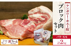 ケンボロー・ホエー豚　ブロック肉 2kgセット＜CT-006＞【1396944】