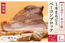 ＜無添加＞ケンボロー・ホエー豚　ベーコンブロック肉＜CT-009＞【1396946】