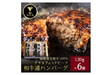 和牛道ハンバーグ120g×6食セット 北海道 大樹町 国産 黒毛和牛 グラスフェッドビーフ【1397514】