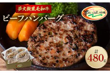夢がいっぱい牧場の夢大樹黒毛和牛・黒毛和牛100%ハンバーグ120g(4個)＜DT-003＞【1403644】