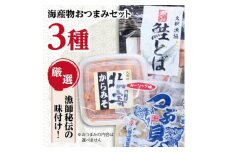 お酒がすすむ!漁師がオススメする海産物おつまみセット(3種)＜AT-001＞【1404984】