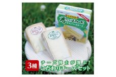 チーズ博士が選ぶこだわりチーズセット(3種)＜AT-003＞【1404985】