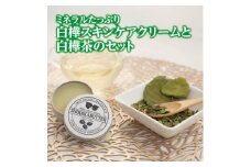 シラカバター(白樺スキンケアクリーム)&白樺茶スペシャルセット＜OT-004＞【1394501】