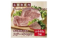 夢がいっぱい牧場の夢大樹黒毛和牛・ステーキセット(3種) ・サーロイン/リブロース/ヒレ【1418445】