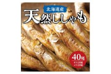 天然ししゃも オス・メス40尾(Sサイズ)【1451270】