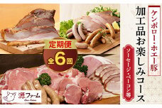 ＜毎月定期便＞北海道十勝産 ホエー豚 ソーセージ・ベーコン等　特製加工品コース　全6回【4010967】