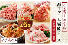 ＜毎月定期便＞北海道十勝産 ホエー豚 ひき肉、バラ肉、豚丼　源ファーム堪能コース　全5回【4010968】