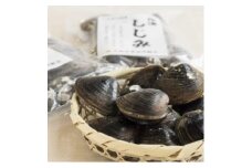 ＜数量限定＞幻の「巨大しじみ貝」3袋セット(250g×3袋)【1535325】