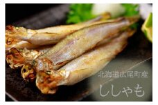 岡嶋水産　【北海道広尾町産】　生乾ししゃも特大Lメス20尾(C0026)
