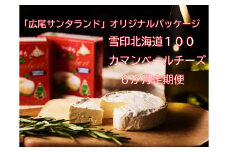 カマンベールチーズ６個×６か月定期便【奇数月発送】(0046)