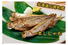 めおとししゃも一夜干し（オスメス各２尾入り）3袋セット（0049）