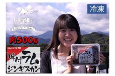 味付ラムジンギスカン赤　肉500g×タレ200g　700g　1パック【ラム肉　ラム　羊肉　焼肉　ジンギスカン　肉　冷凍　北海道　ふるさと納税】(W0016)