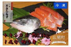 トキシラズ　約2.1kg　1尾分 切り身【鮭　時鮭　時知らず　ときしらず　トキシラズ　ふるさと納税　北海道　海産物　魚】(C0033)