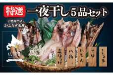 干物専門店かぶらぎ水産の特選一夜干し５品セット(J0031)