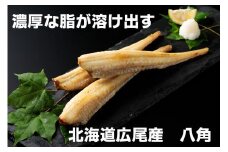 干物専門店かぶらぎ水産の広尾産八角一夜干し９尾セット(J0029)