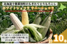 ［先行予約/2025年］もぎたてとうもろこし黄・白 計10本セット [北海道ホープランド農場]【 とうきび トウモロコシ とうもろこし 野菜 夏野菜 フルーツ 北海道 十勝 幕別 】 