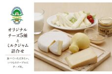 北海道 十勝 チーズアソート5種/ラクレット・カチョカバロ・さけるモッツァレラ＆ミルクジャム [チーズ工房NEEDS]【 チーズ アソート 詰合せ セット カチョカバロ ラクレット モッツァレラ さけるチーズ ミルクジャム 乳製品 ワイン 麦酒 ビール 酒 NEEDS ニーズ 焼きチーズ 食べ比べ 受賞 北海道 十勝 幕別 】 [№5749-0749]