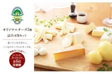 北海道 十勝 チーズアソート7種B / ラクレット入り バラエティセット 6回定期便（偶数月お届け）[チーズ工房NEEDS]【 定期便 頒布会 隔月 チーズ アソート 詰合せ セット バラエティ ラクレット モッツァレラ 大地のほっぺ さけるチーズ 焼きチーズ 乳製品 ワイン 麦酒 ビール 酒 NEEDS ニーズ 食べ比べ 受賞 北海道 十勝 幕別 】 [№5749-0768]