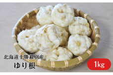 十勝幕別産 ゆり根1kg（7～12玉）【2024年12月出荷先行予約】 [№5749-0887]