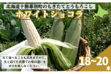 ［先行予約/2025年］もぎたてとうもろこし白18～20本 [北海道ホープランド農場]【 とうきび トウモロコシ とうもろこし 野菜 夏野菜 フルーツ 北海道 十勝 幕別 】 