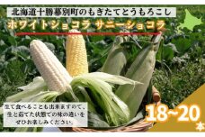 ［先行予約/2025年］もぎたてとうもろこし黄・白 計18～20本セット [北海道ホープランド農場]【 とうきび トウモロコシ とうもろこし 野菜 夏野菜 フルーツ 北海道 十勝 幕別 】 