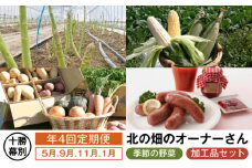 十勝幕別 北の畑のオーナーさん 旬の野菜年4回定期便【2023年5月出荷開始】 [№5749-0897]